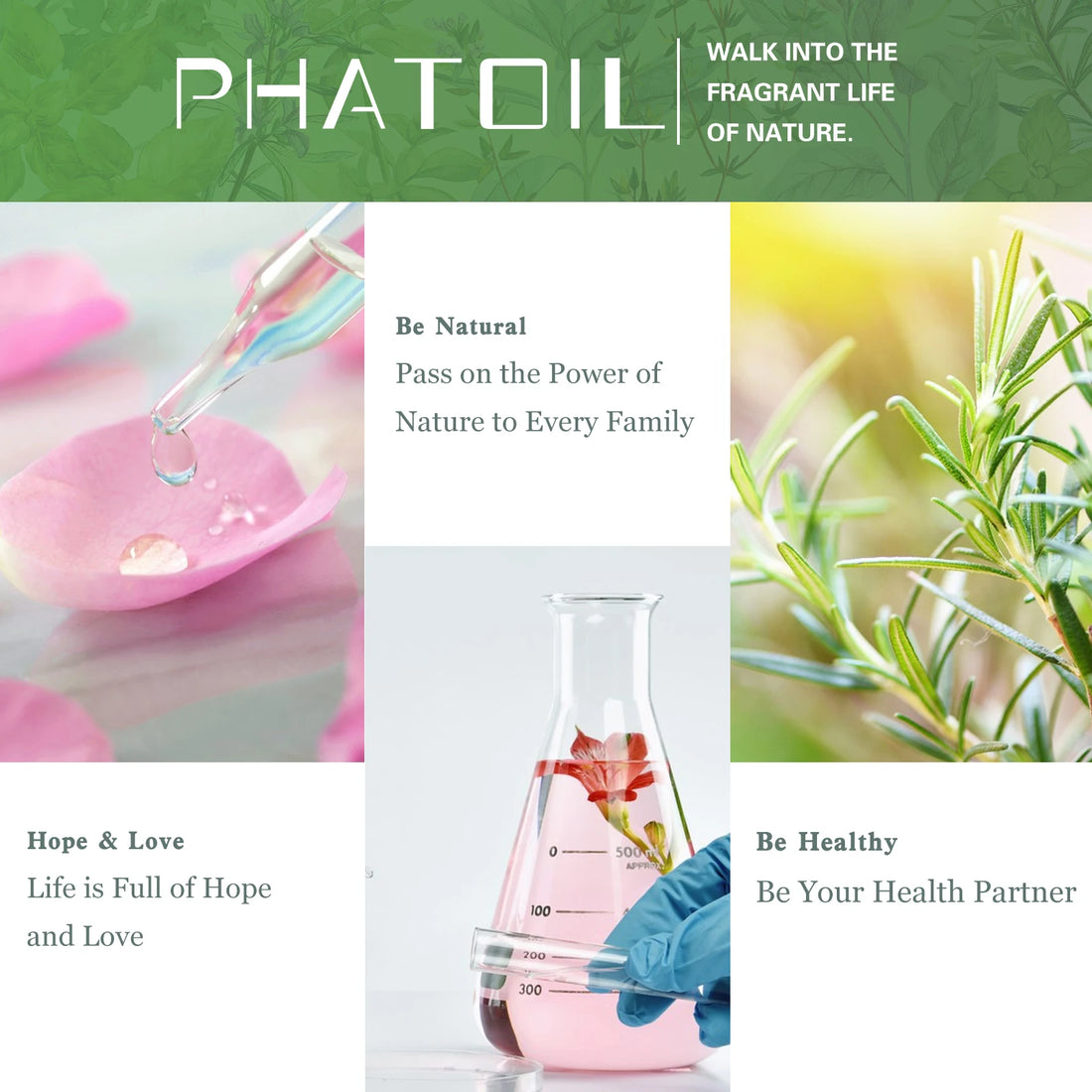 Chamomile – 100ml – Pure Essential Oil – PHATOIL CLASSICS